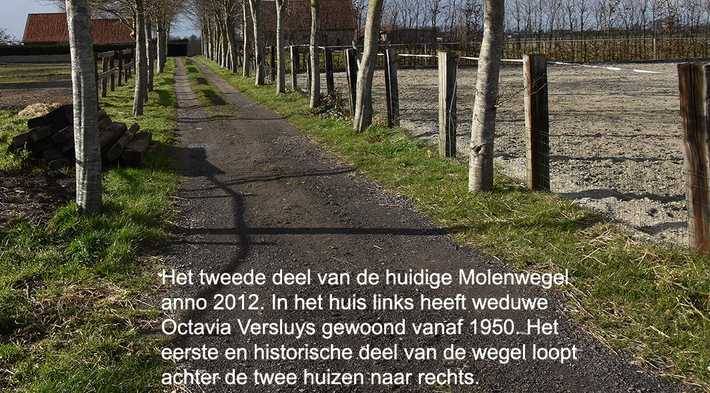 mlwt